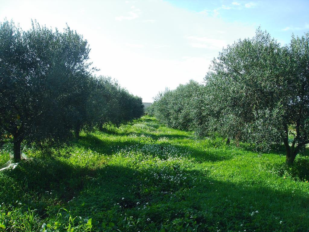 Casale Stagnone Guest House Marsala Luaran gambar